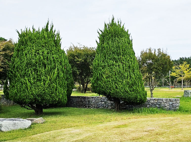 전라남도 영광 한빛파크골프장 소개