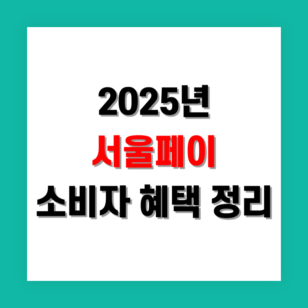 서울페이 소비자 혜택 정리