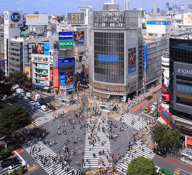 일본 도쿄 관광지 추천 시부야