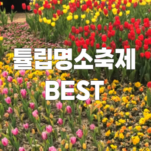 튤립-명소-축제-서울-경기도-BEST-썸네일