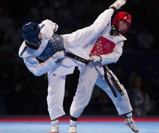 2024년 파리 올림픽 한국 메달 도전 종목