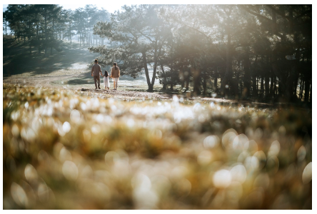 아이들과 함께 즐기는 수도권 당일치기 여행지