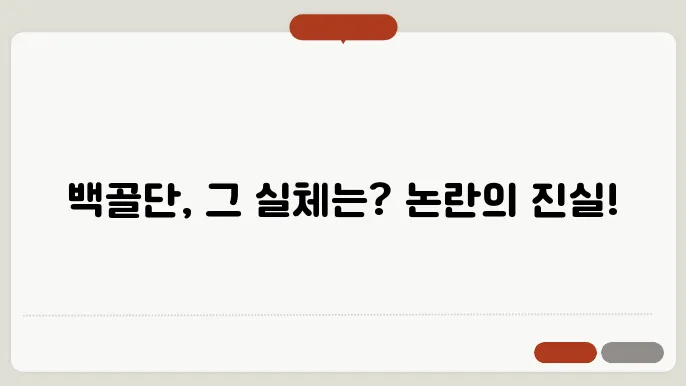 백골단 의미 I 김민전 I 김정현 I 부활 I 논란