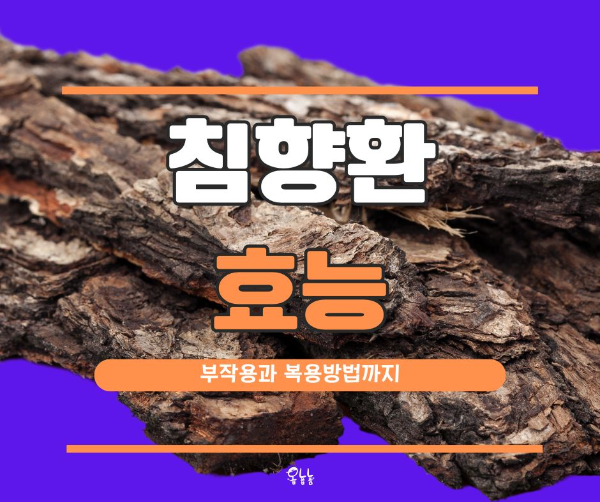 침향환 효능