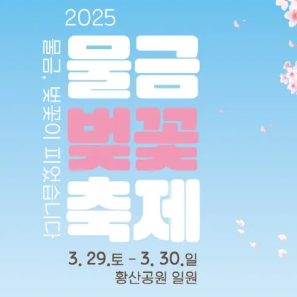 양산 물금 벚꽃 축제 대표 이미지