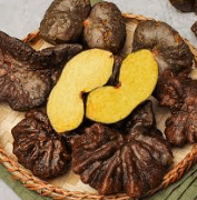 하늘마 재배법