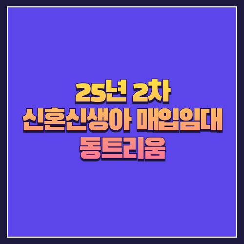 [25년 1차 신혼신생아매입임대] 서울 양천구 신월동 '동트리움' 도시형생활주택 2세대 분석