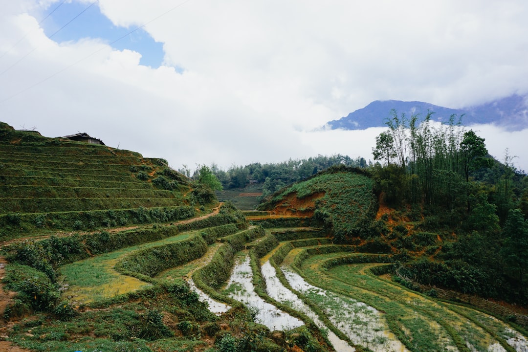Vietnam 여행.