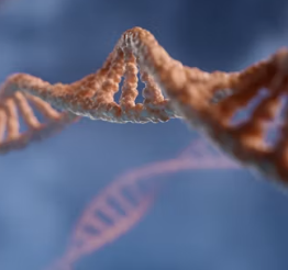 황반변성 증상 원인 치료법