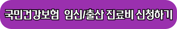 임신출산지원금