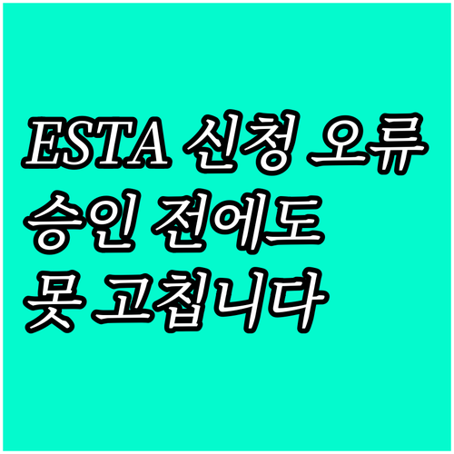 ESTA 신청 오류, 승인 전이라도 ..