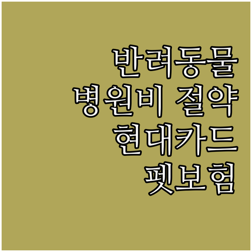 반려동물 용품 병원비 현대카드 펫보험..