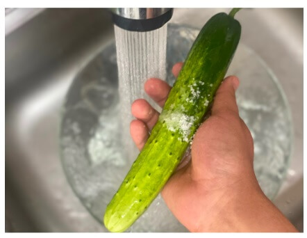 생방송투데이 이 주의 장바구니 진천 오이 구매방법, 보관법, 세척법, 활용법 진천햇살농원