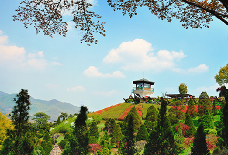 세종 베어트리파크 수목원