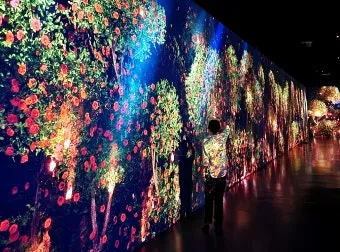 제주도 비올때 가볼만한곳 10곳 추천 실내 관광지로 모음_8