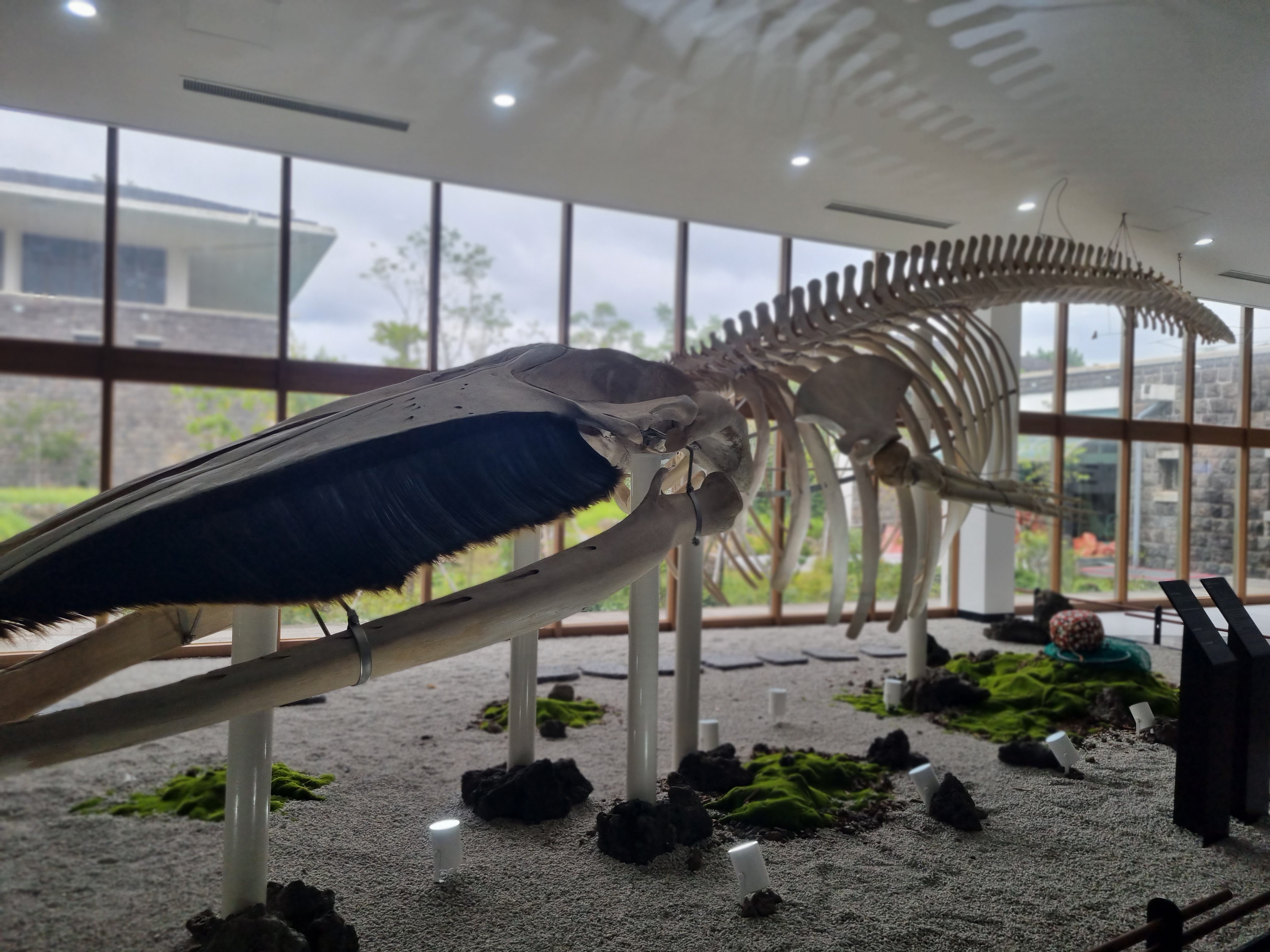 민속자연사박물관