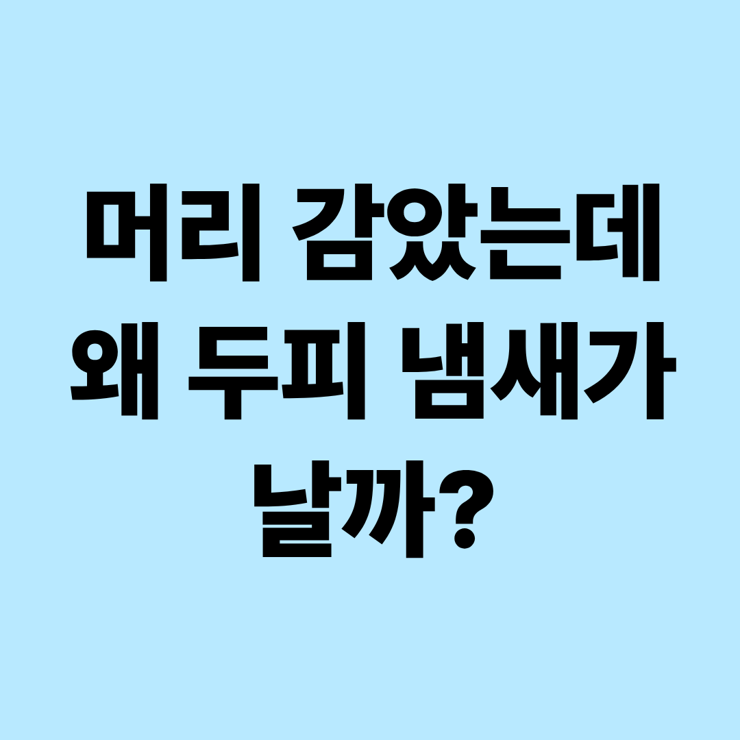 머리를 감아도 두피 냄새가 나는 이유|피지·땀·두피염 구별