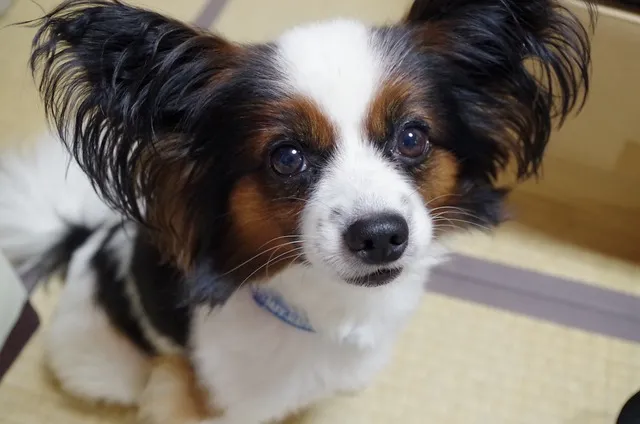 더애수 쇼핑몰 필수 패션 아이템_5