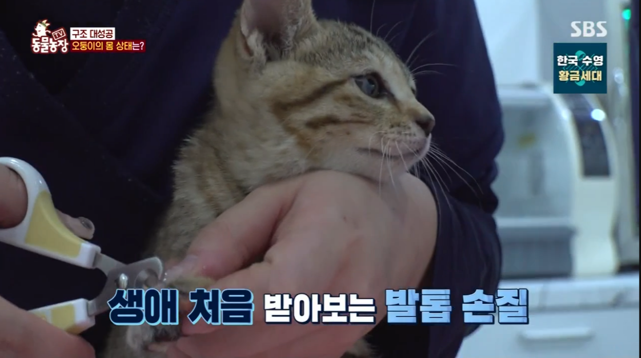 동물농장