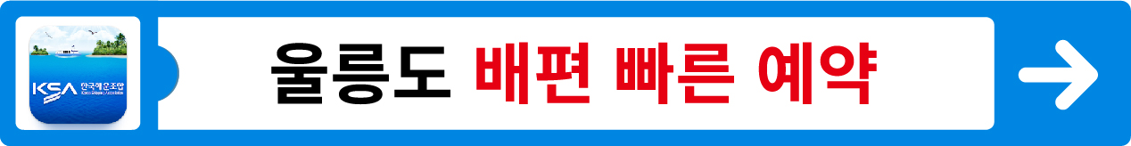 울릉도배편 예약, 배편시간표, 배편 가격 안내