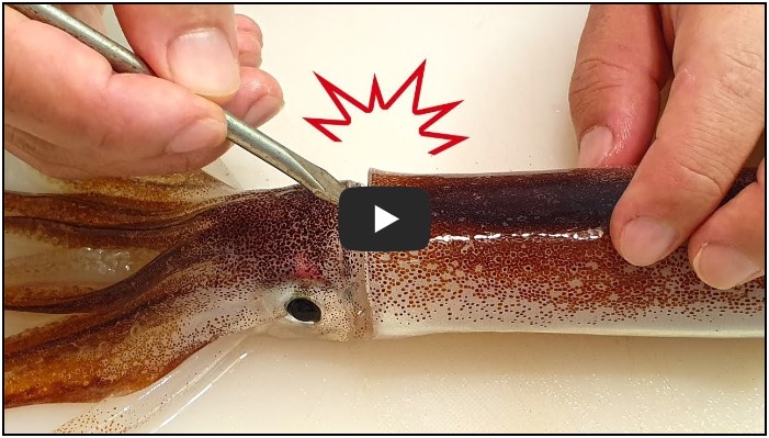 낚시 유튜버 순위 TOP 10 7