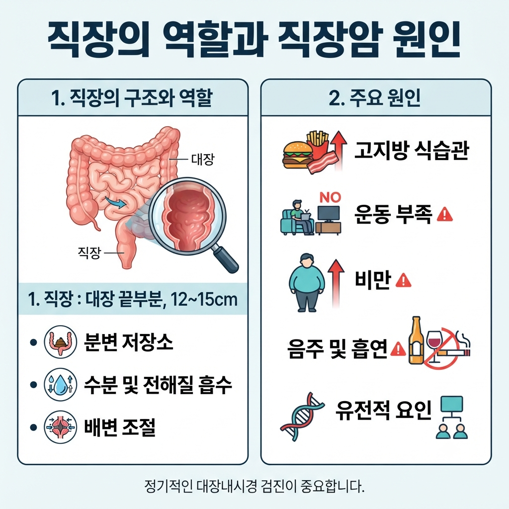 직장암 증상