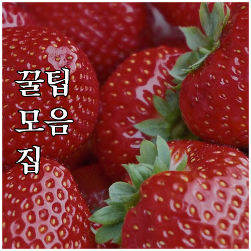 성동구 대형폐기물, 5분 만에 온라인..