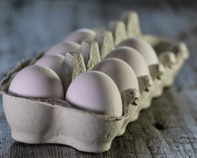 이명 치료 방법 25