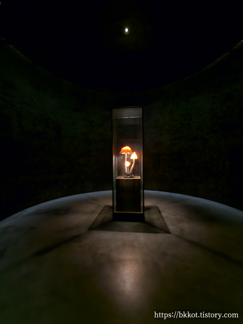 제주도 유민미술관