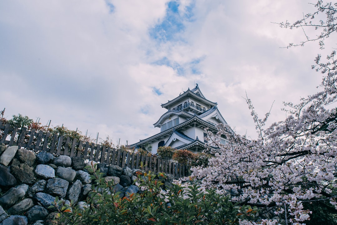 Biwako (빙어)