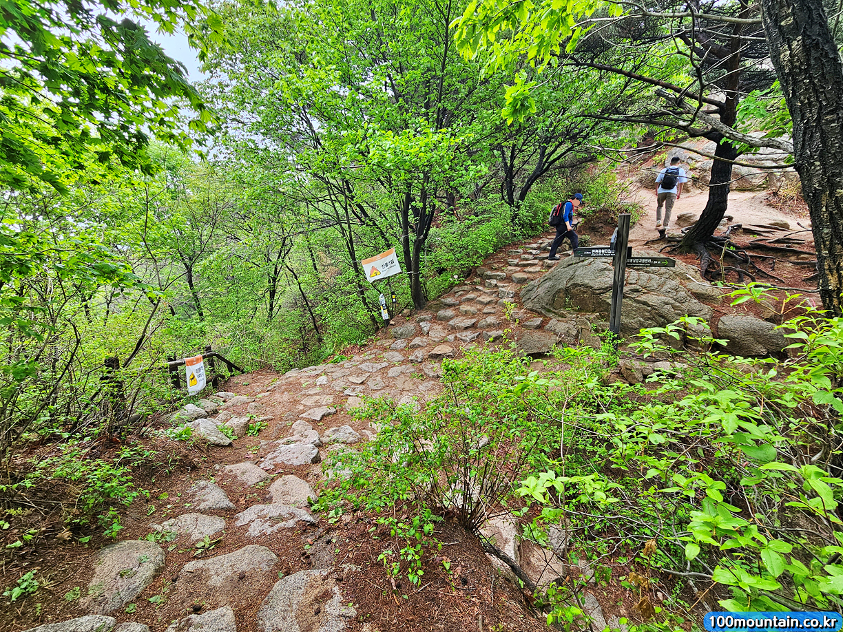 북한 61-04
