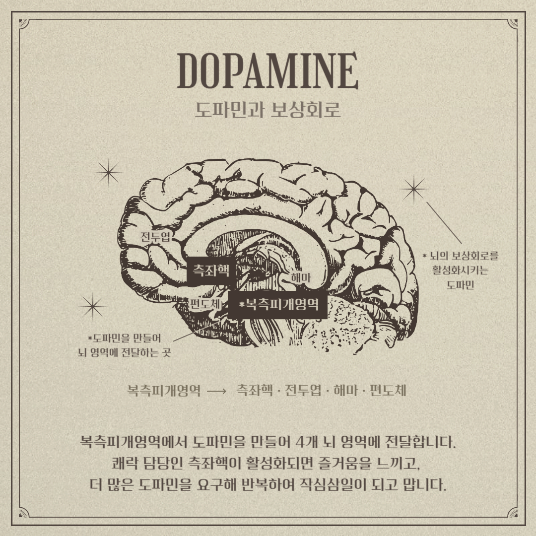 도파민과 보상