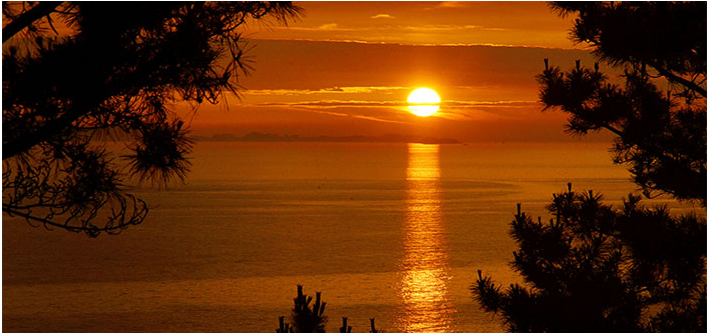 청산도 배 시간표, 여객선 운항 노선, 청산도표 예약