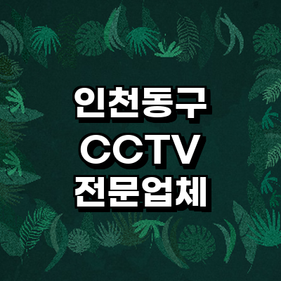 인천 동구 cctv