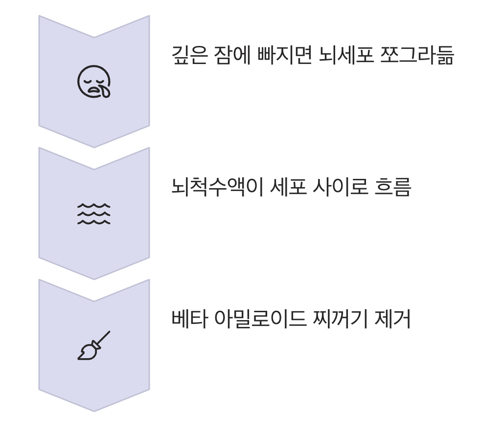 '잠'은 뇌의 '대청소 시간'