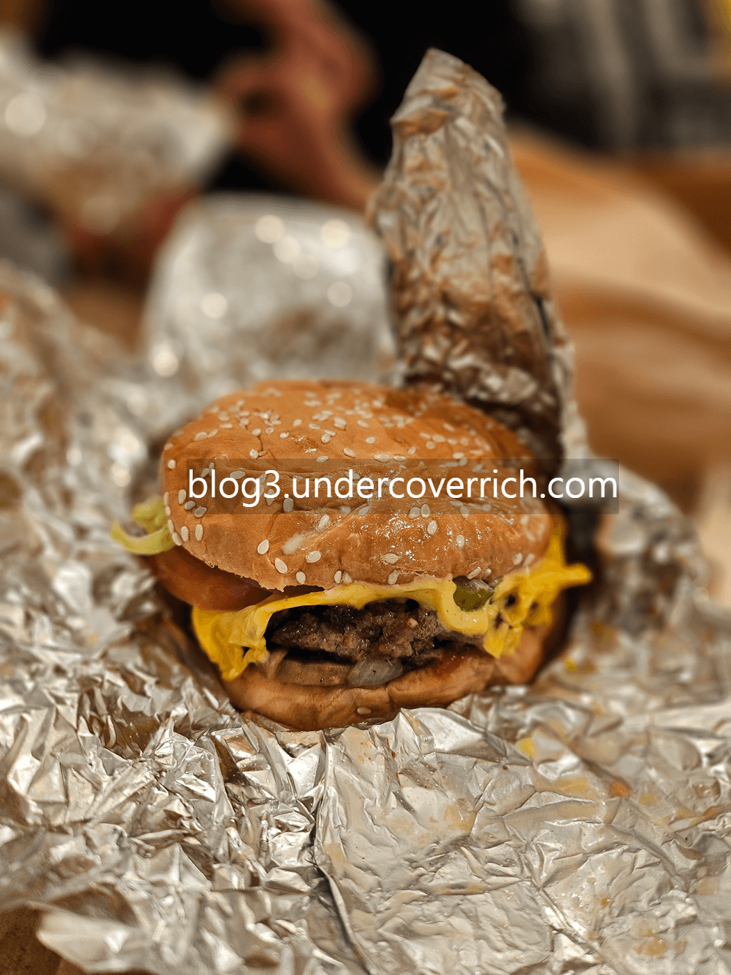 파이브가이즈 five guys 햄버거