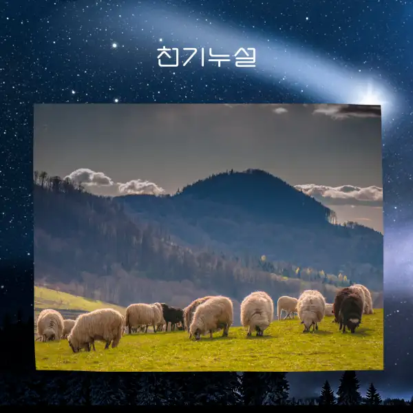 양이 나오는 꿈해몽