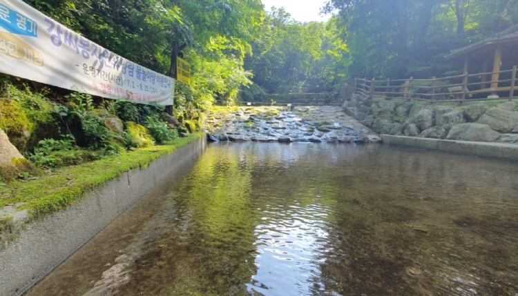 강씨봉 자연휴양림