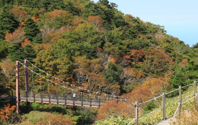 2025 한라산 단풍 절정시기 공개! 가을 초보자 코스 완벽 정리