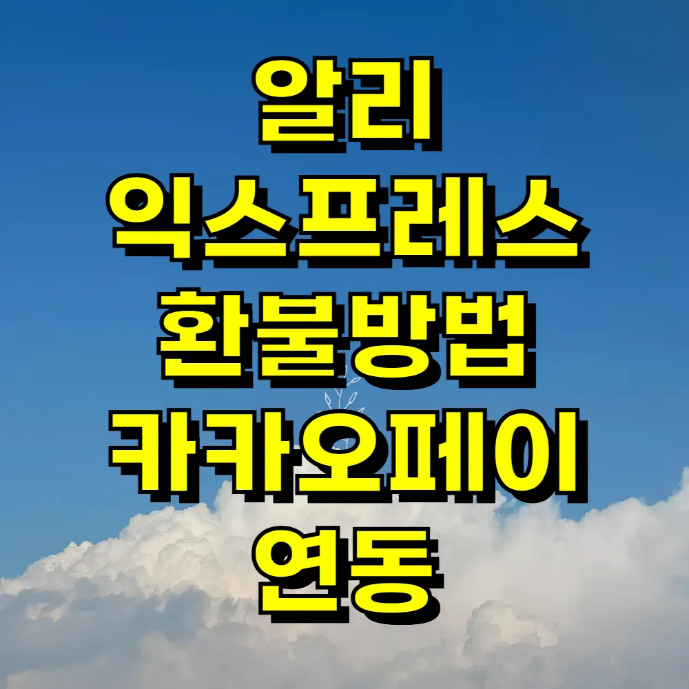 알리 익스프레스 환불방법 카카오페이 연동