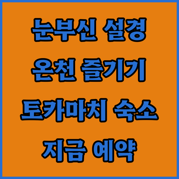 눈부신 설경과 온천! 니가타현 토카마