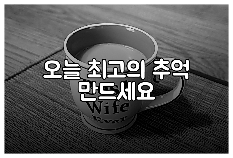 오늘 최고의 추억 만드세요