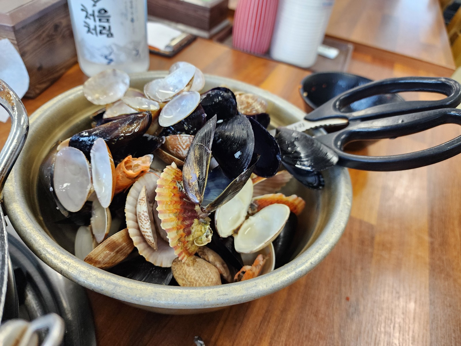 조개껍질