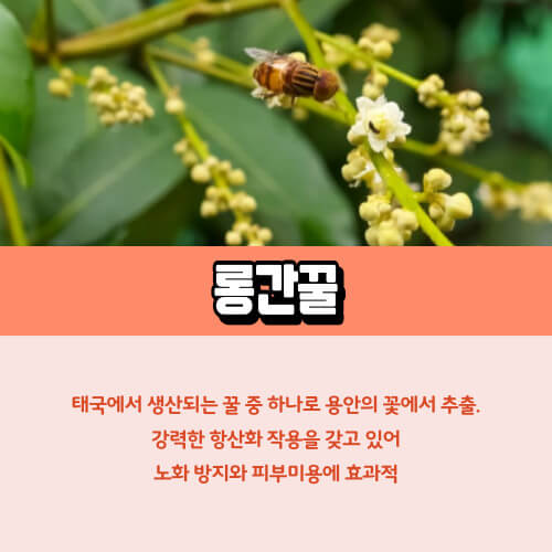 롱간꿀