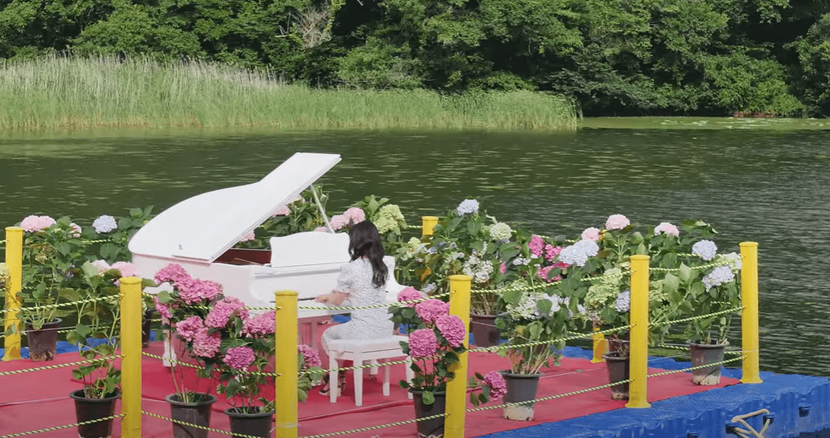 2025 강진 수국길 축제 : 축제 개요부터 방문 팁까지 총정리