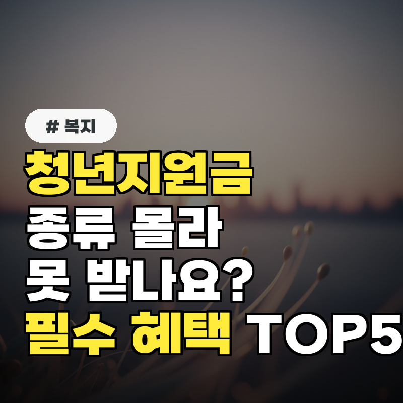 청년지원금 종류 몰라서 못 받나요 놓치면 안 될 필수 혜택 TOP 5