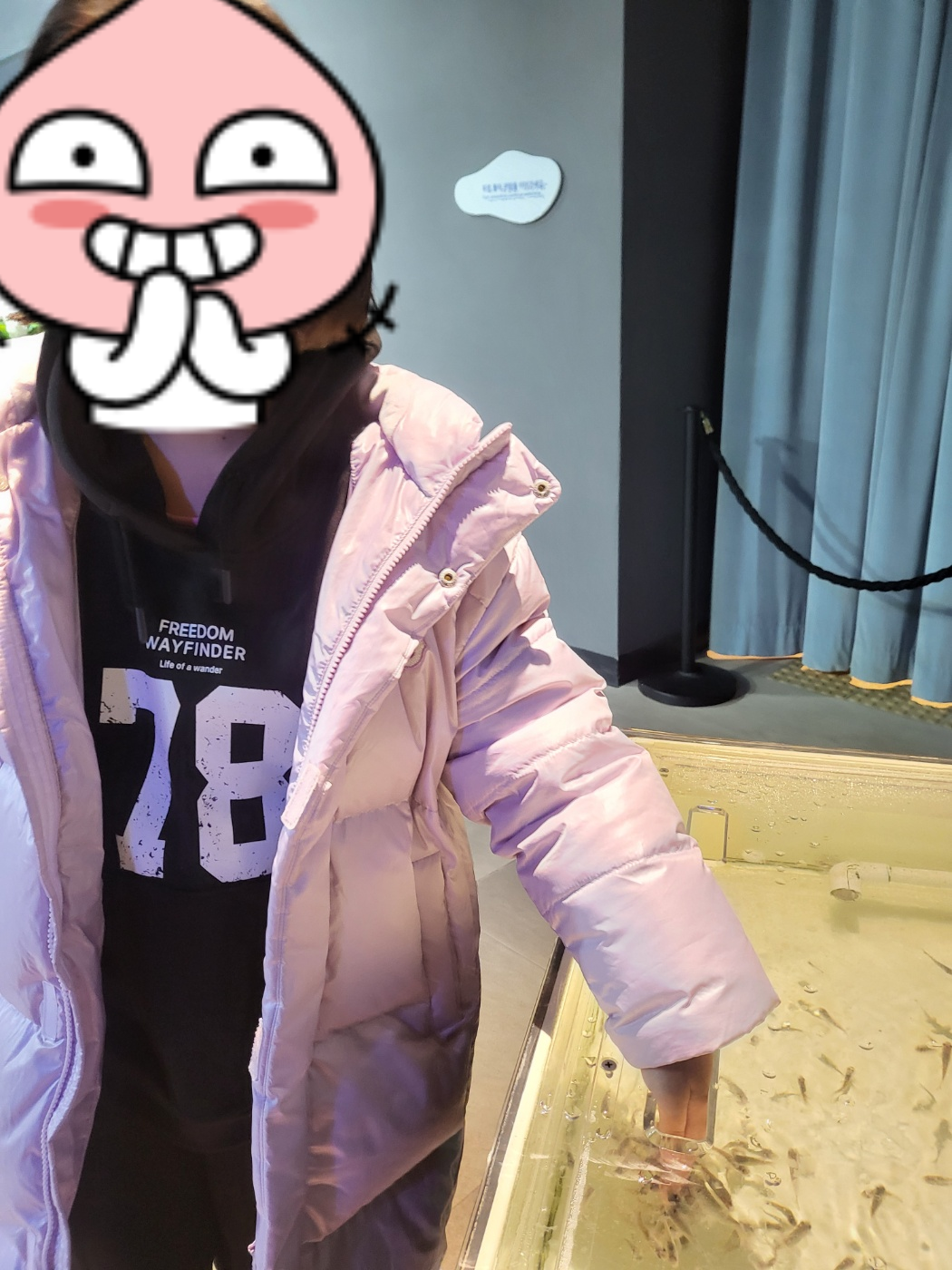 대전 아이와 가볼만한 곳&amp;#44; 신세계 아쿠아리움!(입장권/공연/체험)