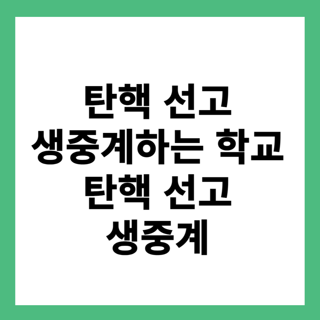 윤석열 대통령 탄핵 선고 생중계하는 학교 탄핵 선고 생중계 정보