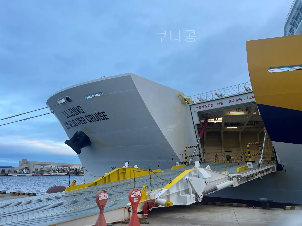 울릉도-2박3일-가족여행-후포항-울릉썬플라워-크루즈-차량선적-배편가격-발권꿀팁