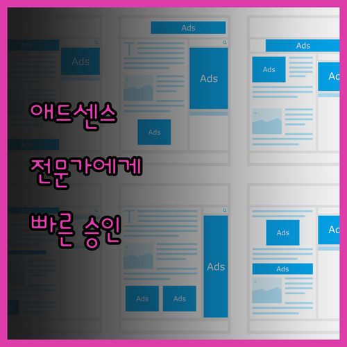 애드센스, 이제 전문가에게 맡기세요!